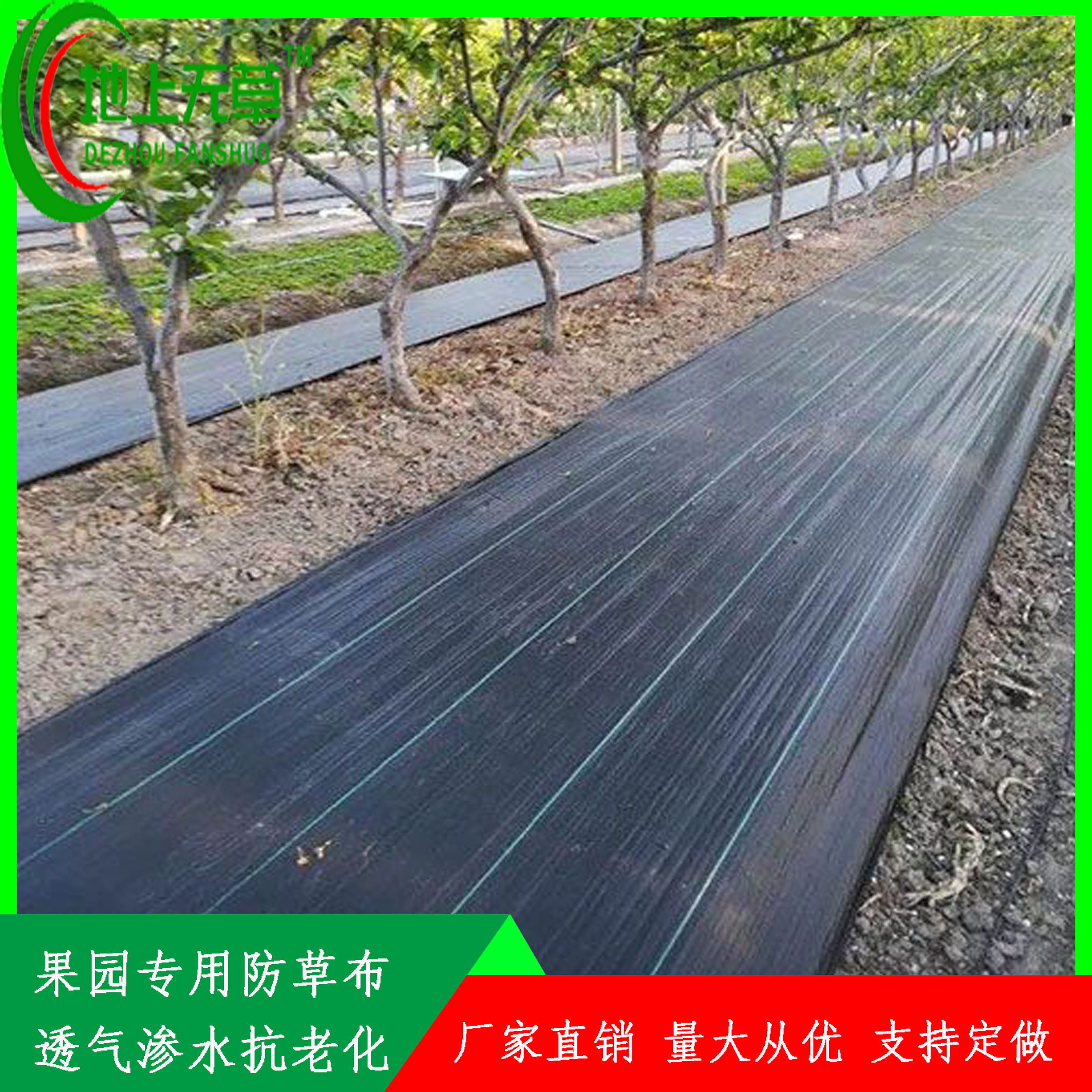 聚酯涤纶编织布